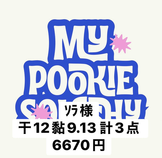 ｿﾗ様
干12黏9.13 計3点 6670円