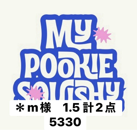 ＊m様　1.5 計2点 5330