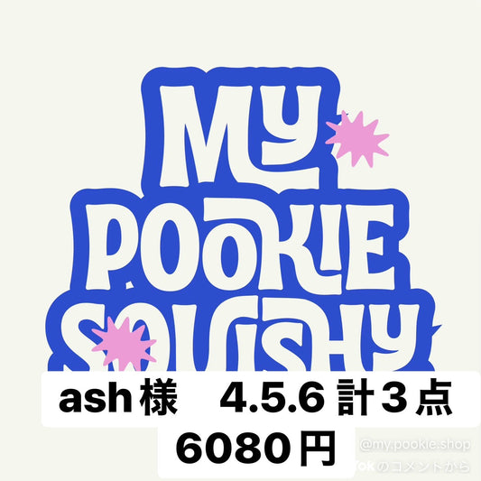 ash様　4.5.6 計3点　6080円