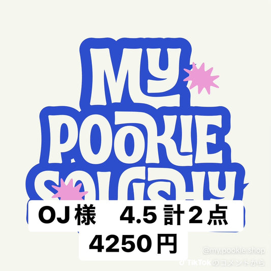 OJ様　4.5 計2点 4250円