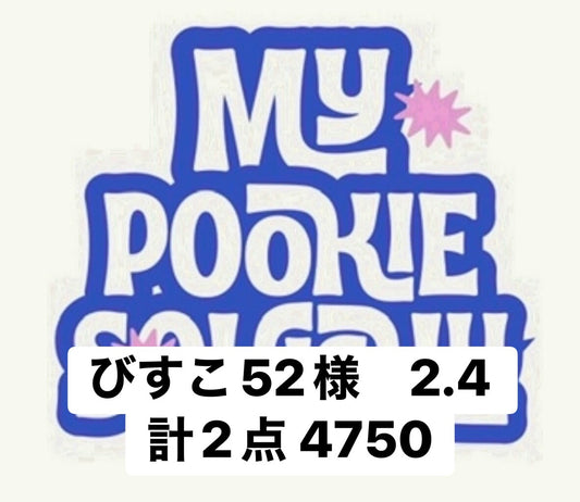 びすこ52様　2.4 計2点 4750