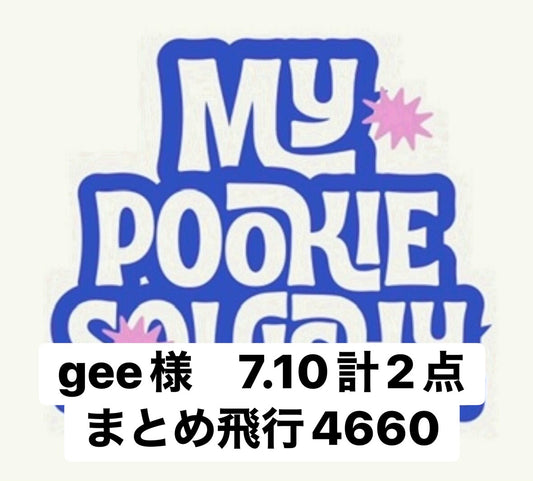 gee様　7.10計2点まとめ飛行4660