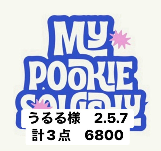 うるる様　2.5.7計3点　6800