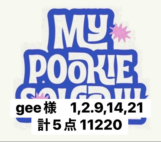 gee様　1,2.9,14,21 計5点 11220