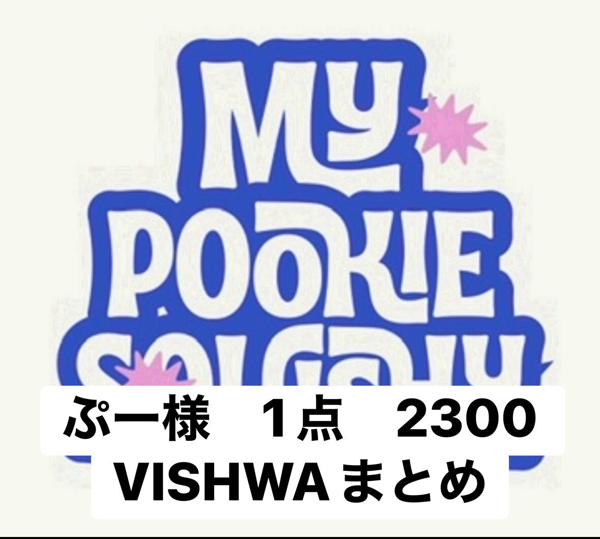 ぷー様　1点　2300 VISHWAまとめ