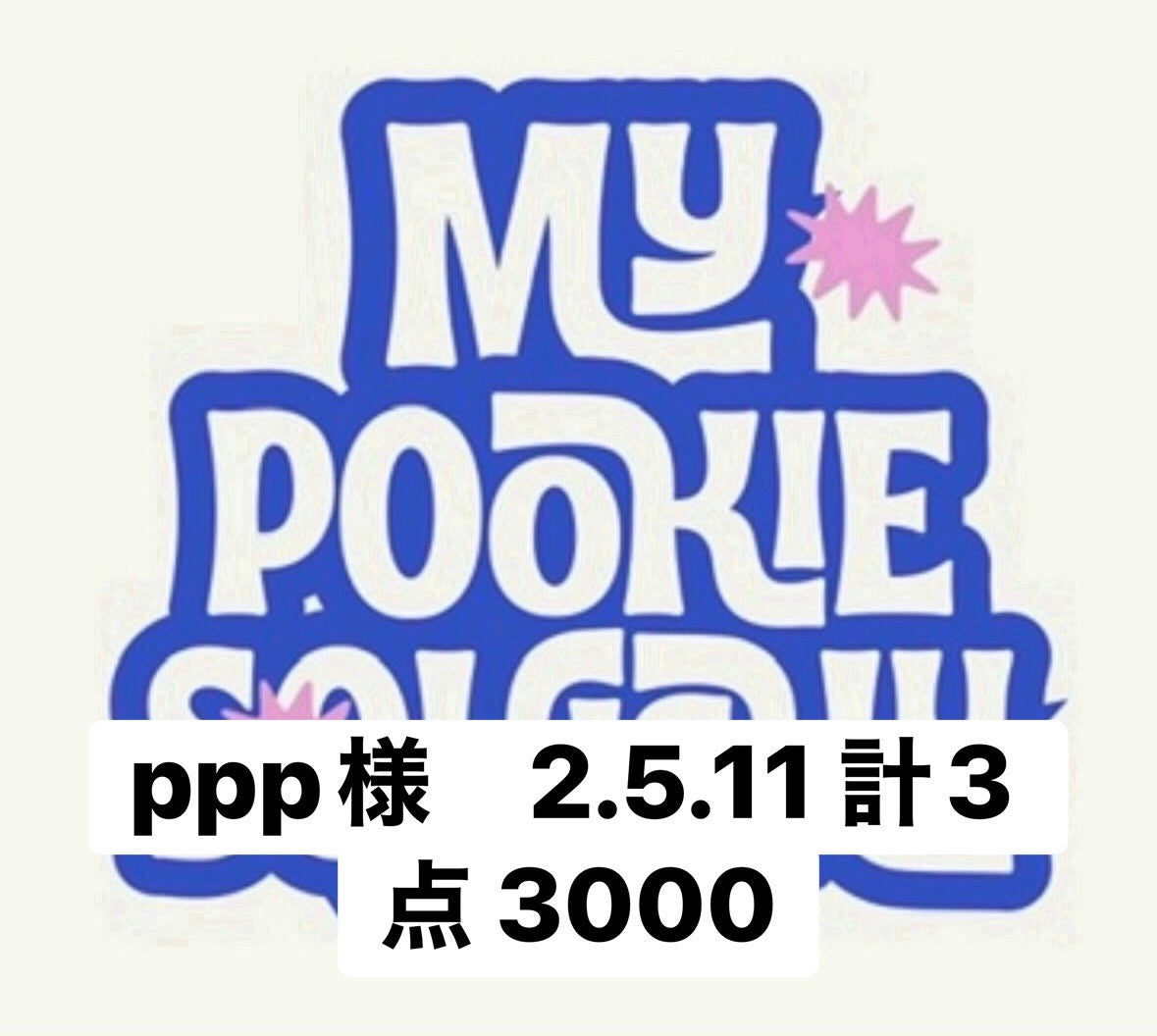 ppp様　2.5.11 計3点 3000