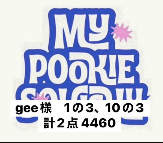 gee様　1の3、10の3 計2点 4460