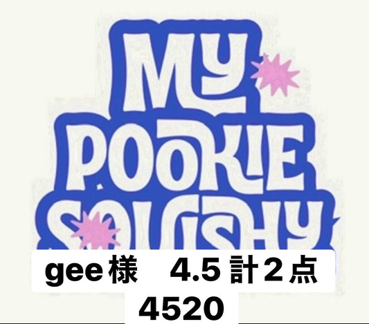 gee様　4.5 計2点 4520