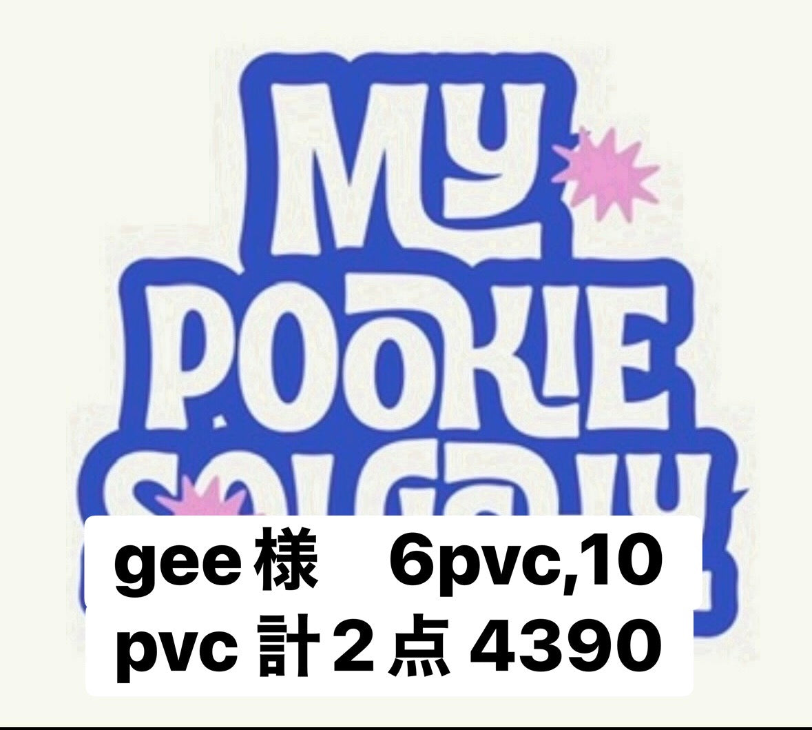 gee様　6pvc,10 pvc 計2点 4390